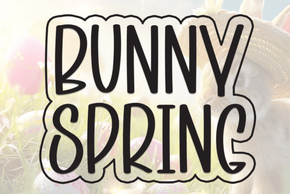 Bunny Spring: The Creative Display Font for Modern Web Design
