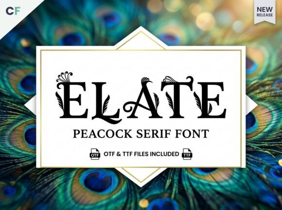 Elate: A Premium Display Font for Editorial Design and Branding